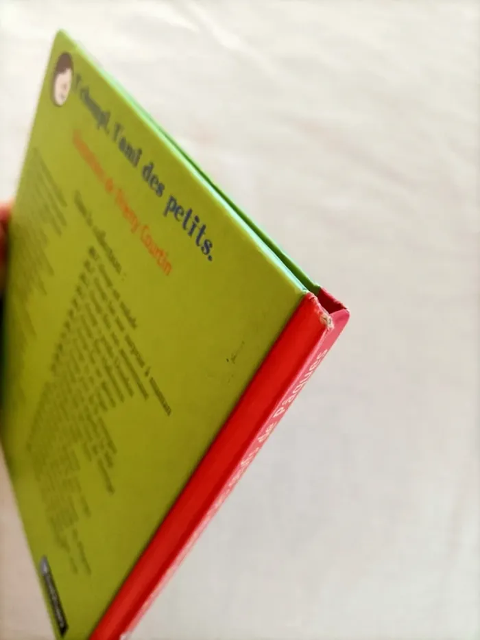 Livre T'choupi cherche les œufs de Pâques - photo numéro 10