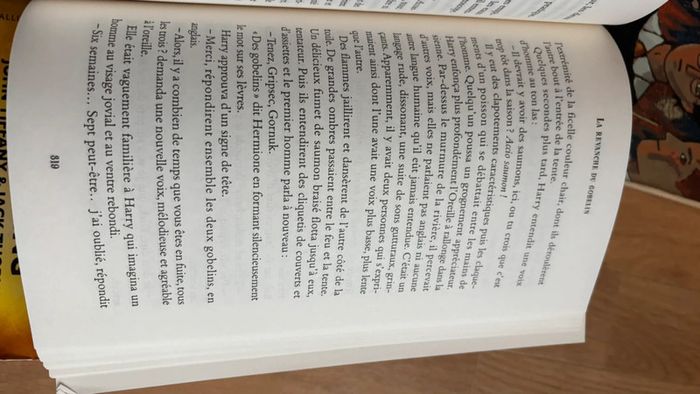 Livre Harry Potter - photo numéro 6