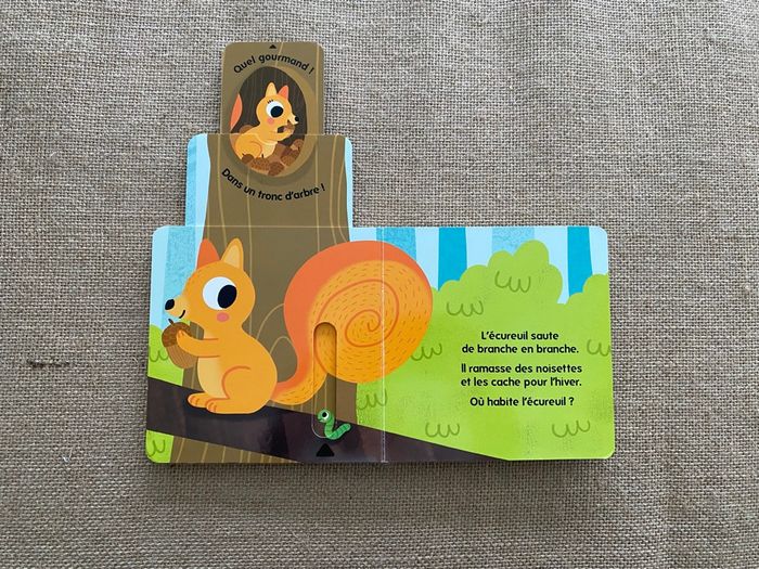 Livre Qui habite dans les bois ? Caché Trouvé Larousse Jeunesse - photo numéro 8