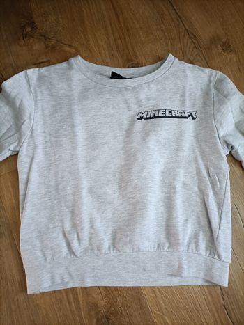 Pull minecraft