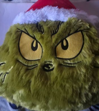 Coussin the grinch