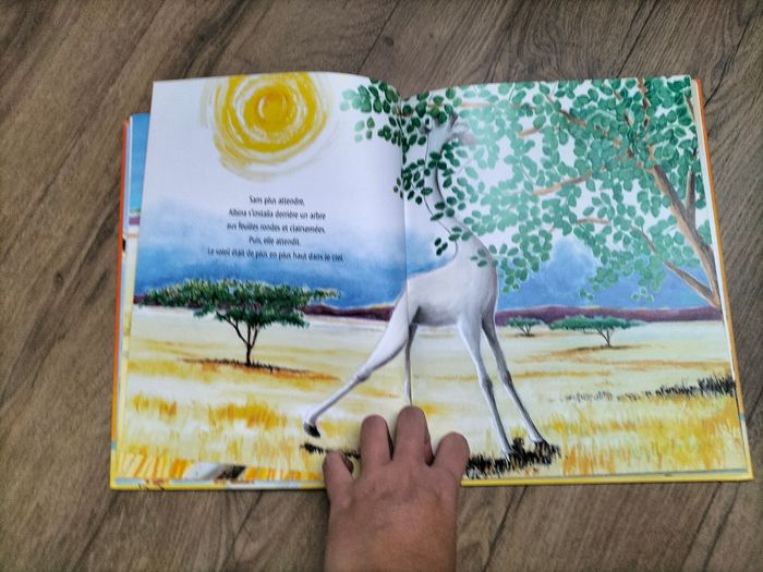 Livre la girafe blanche - photo numéro 3