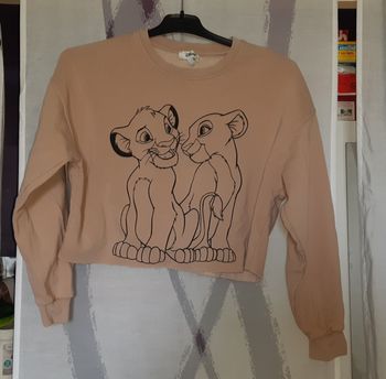 Pull femme Le Roi Lion Taille XS Disney