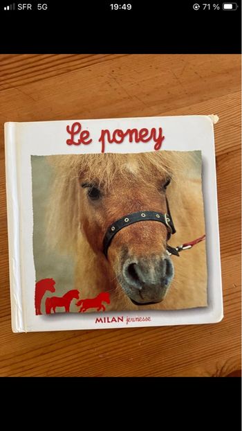 Le Poney