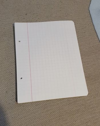 Gros Lot de petites feuilles simples grands carreaux