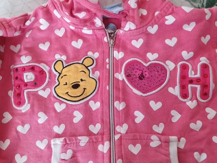 Veste ou sweet à capuche 12 mois - photo numéro 2