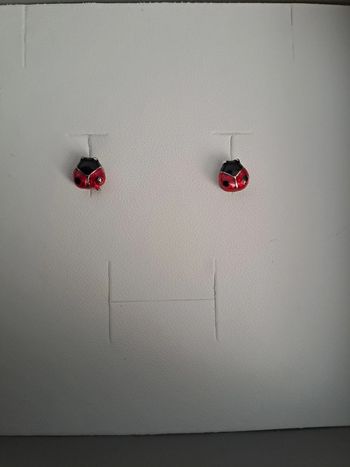 Boucles d oreilles coccinelles - TBE