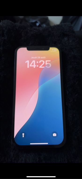 iPhone 12