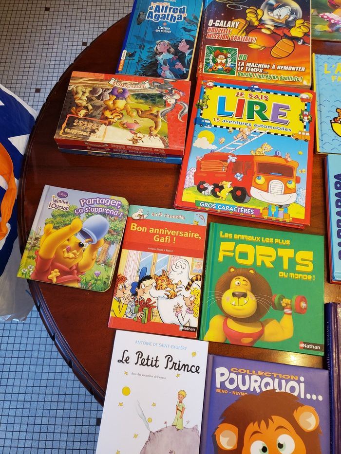 Vend livre - photo numéro 2