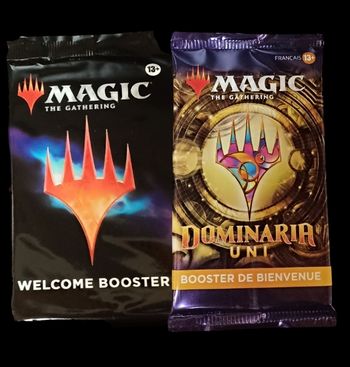 Lot de 2 boosters neuf magic dominaria machine