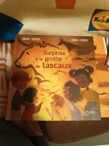 Livre mac do neuf
