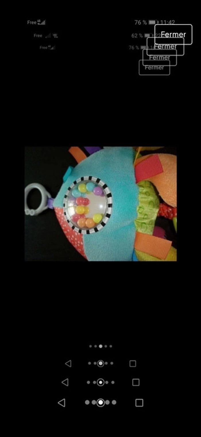 Tortue d'éveil - photo numéro 3