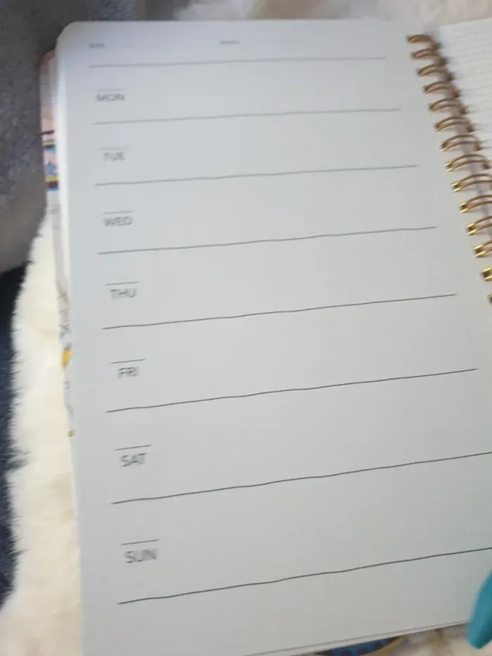 Neuf ensemble weekly planner et stylo my little box - photo numéro 3