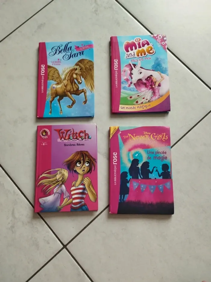 Livres divers Bibliothèque Rose