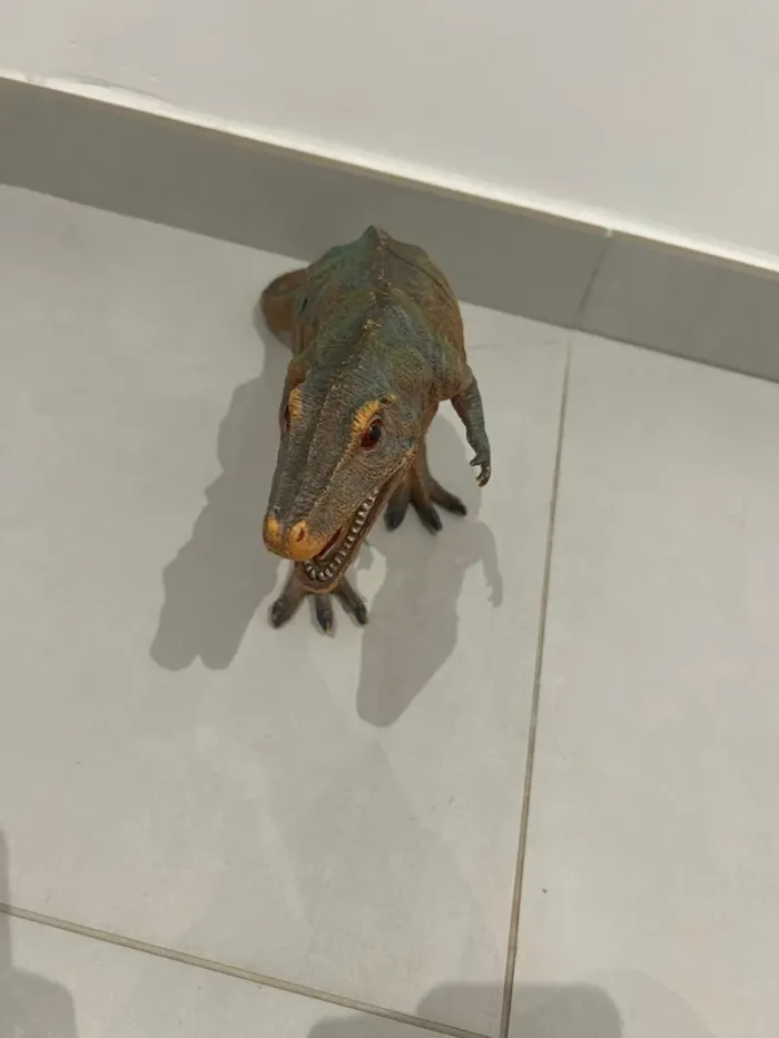 Dinosaure en jouet - photo numéro 2