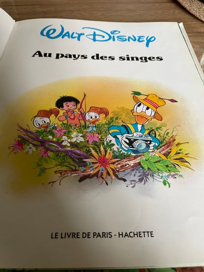 Au pays des singes - photo numéro 4