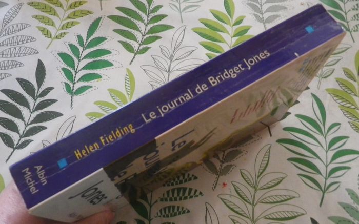 Le journal de Bridget Jones d'Helen Fielding Ed. Albin Michel - photo numéro 4