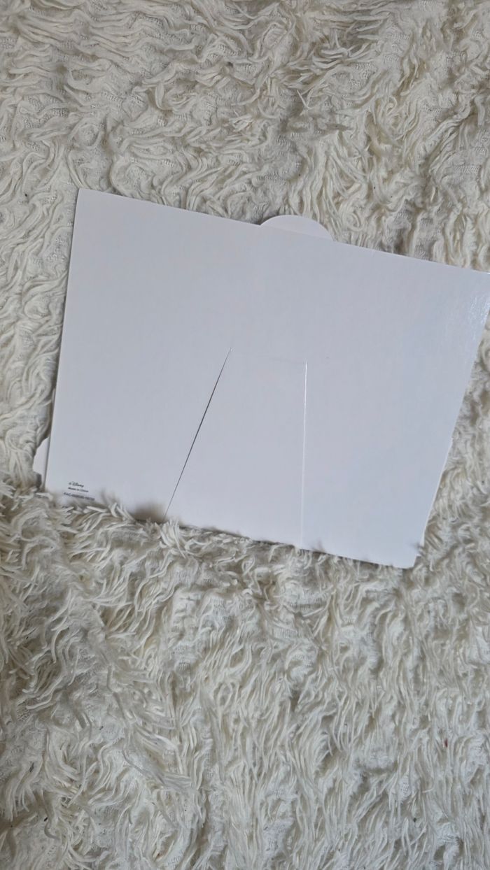 Cadre photo disney meet mickey mouse 15 x 20 disneyland paris - photo numéro 2