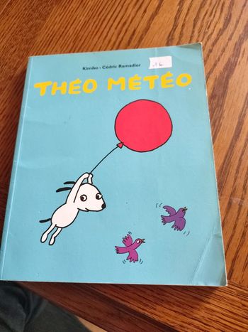 Livre Théo météo