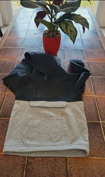Sweat à capuche