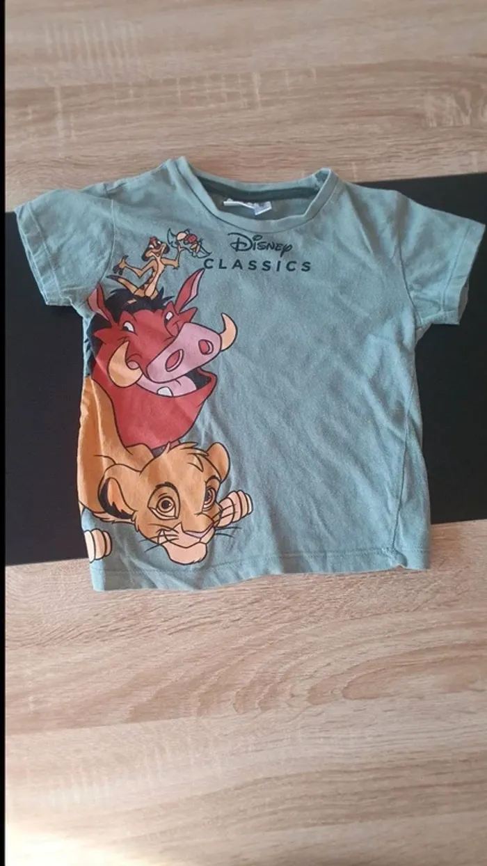 Lot de 2 tee-shirts manches courtes 92 cm - photo numéro 2