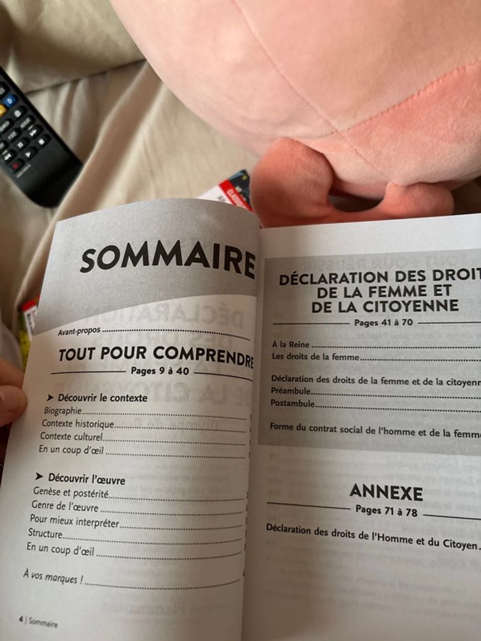Déclaration des droits de la femme et de la citoyenne - photo numéro 4