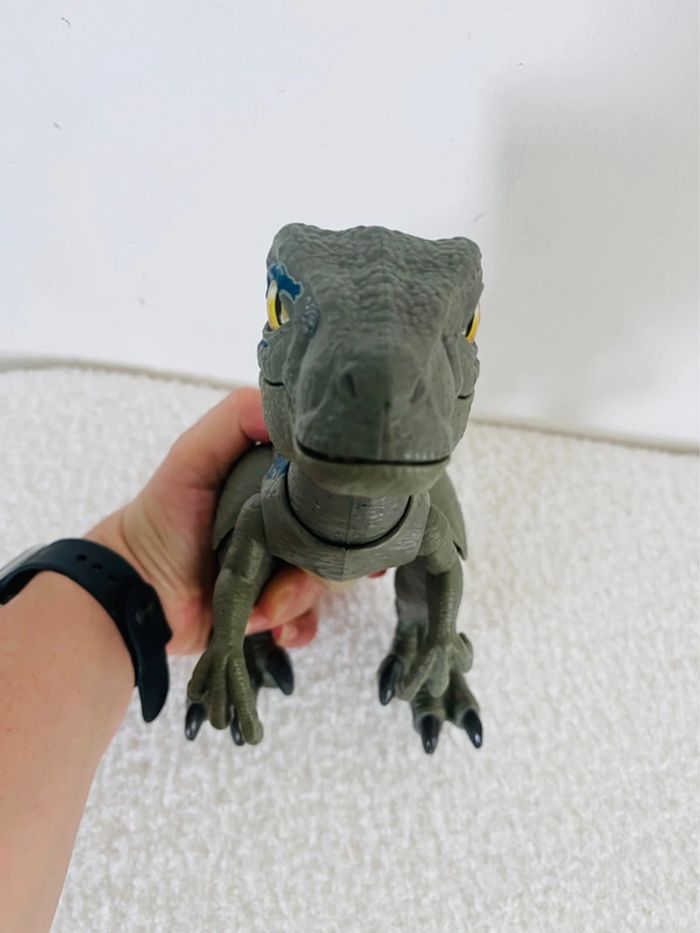Dinosaure blue jurassic world - photo numéro 4