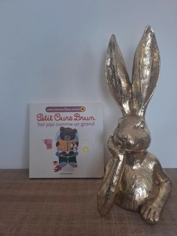 📚 Petit Ours Brun va au toilette – Livre interactif en carton🐻