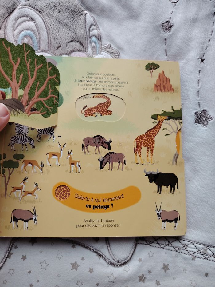 Livre animaux de la savane - photo numéro 3