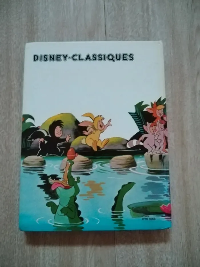 Lot gros livres Disney - photo numéro 11