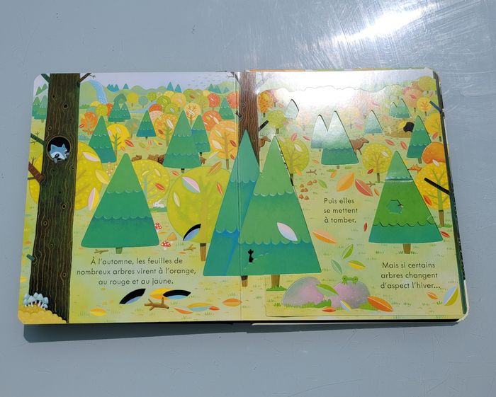 Usborne, livre collection coucou 🌲 Coucou! La Forêt 🍁 - photo numéro 6
