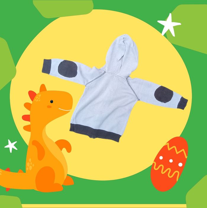 Gilet zippé à capuche bébé garçon taille 9 mois - photo numéro 2