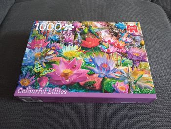 Puzzle 1000 pièces 