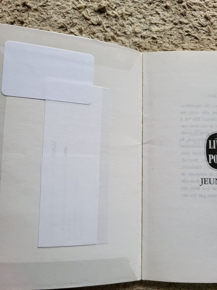 Roman enfant Les frisettes de Mademoiselle Henriette de Fanny Joly - photo numéro 5