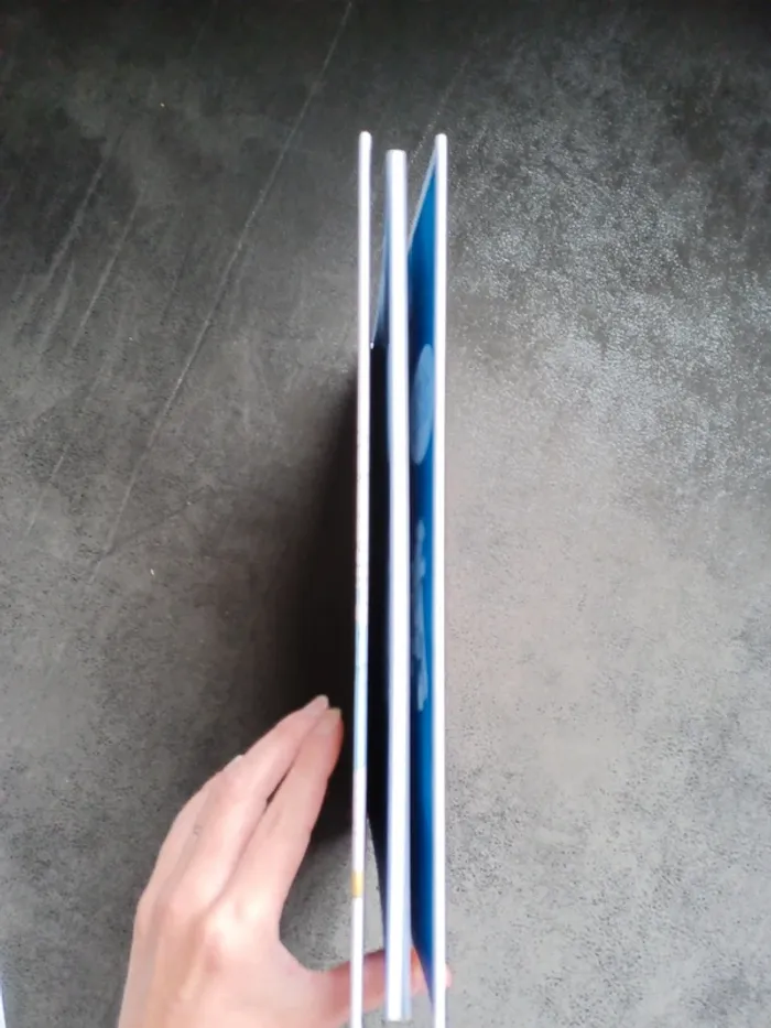 BD Astérix tome 39 Astérix et le griffon - photo numéro 4