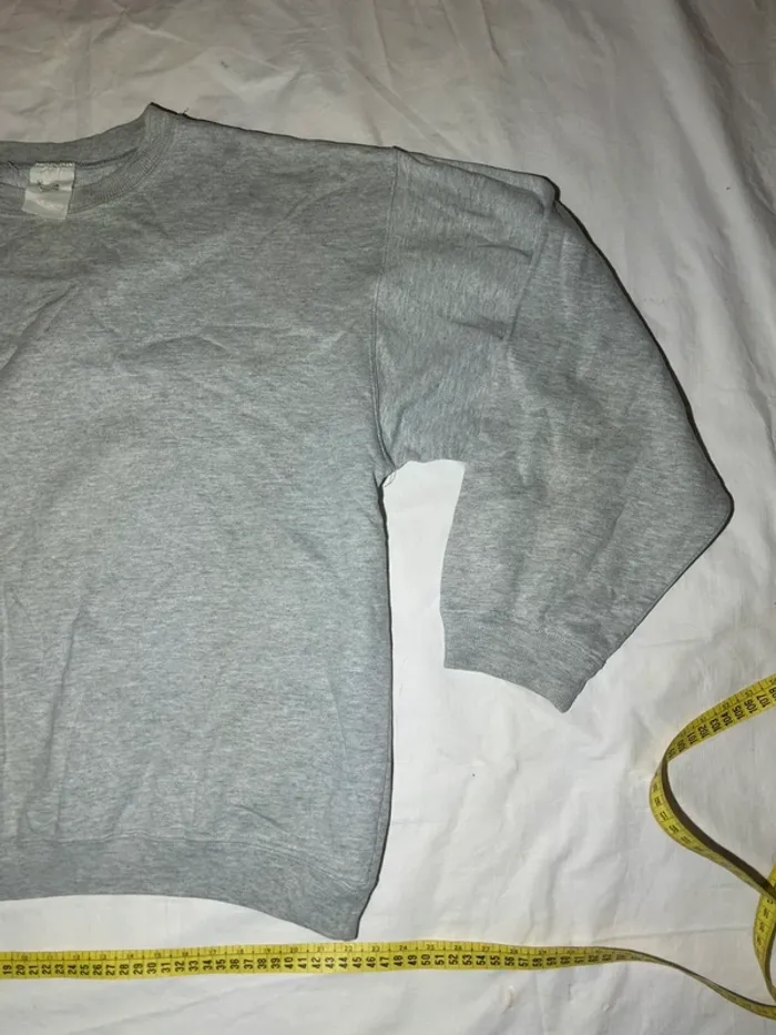 Sweat gris en Cotton - photo numéro 2