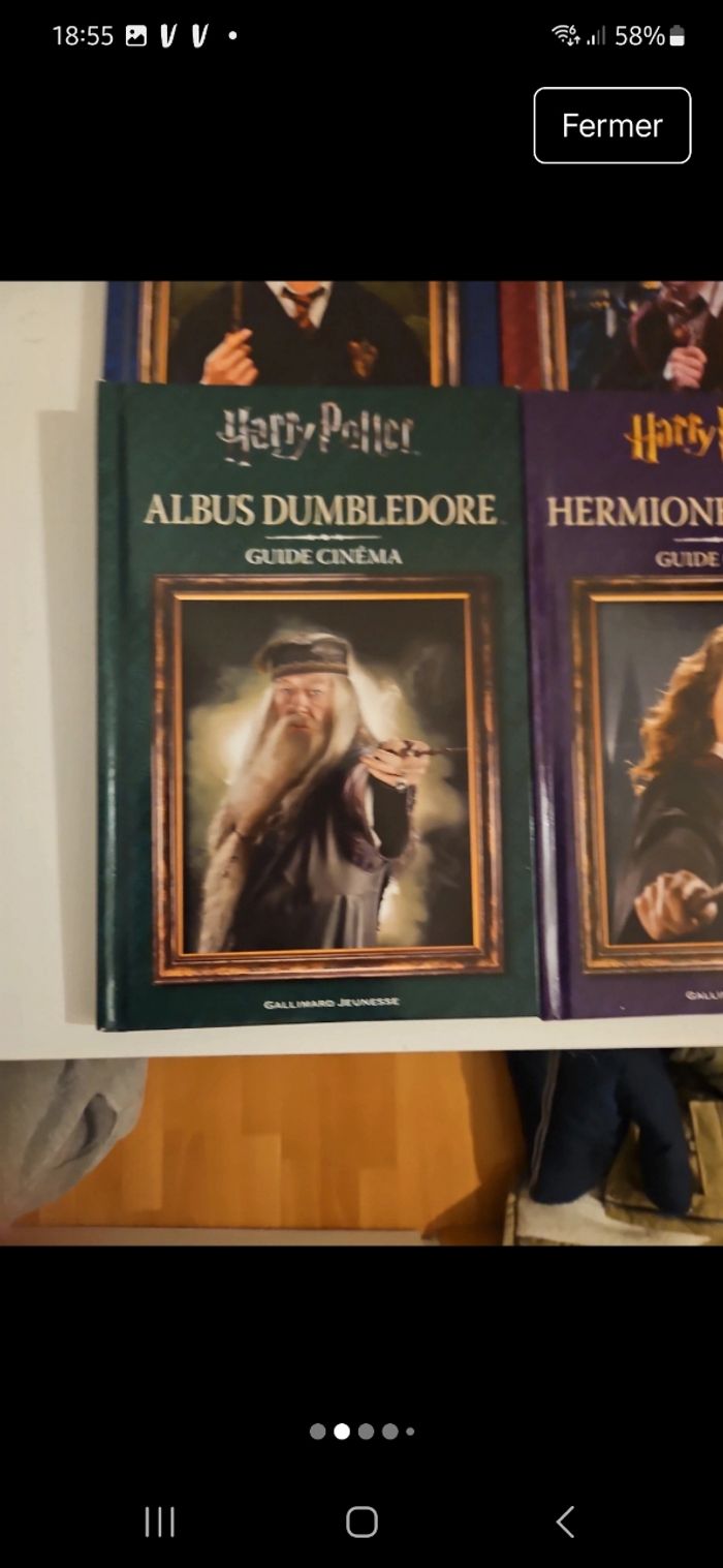 Livre Harry Potter - photo numéro 2