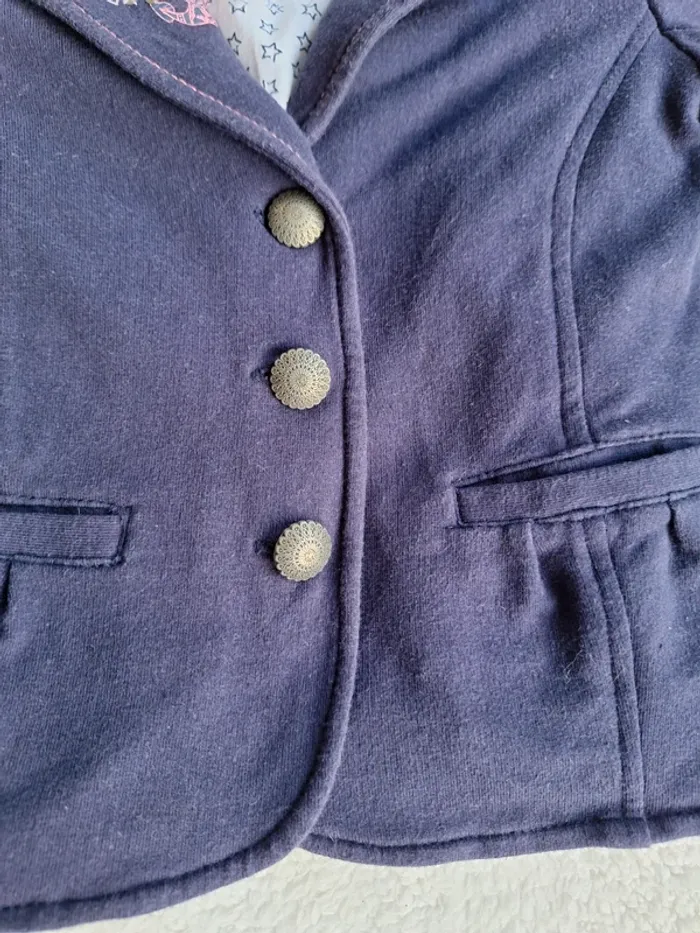 Blaser marine - photo numéro 4