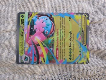 Carte Pokémon 3D XL Méga-Florizarre