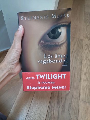 Les âmes vagabondes