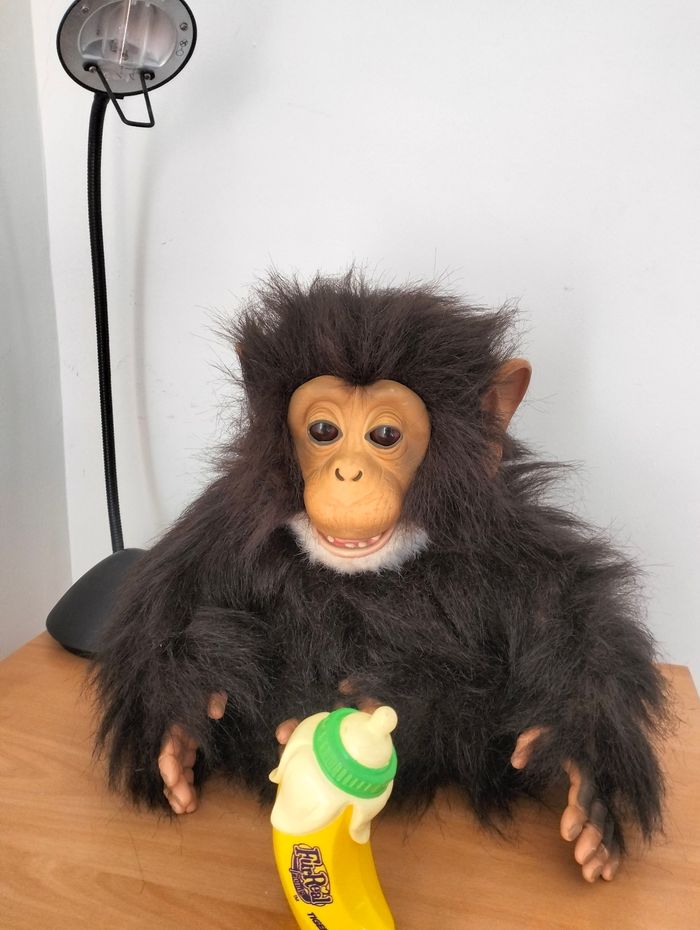 Cuddle chimp - photo numéro 2