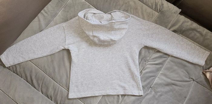 Pull à capuche Orchestra - photo numéro 4