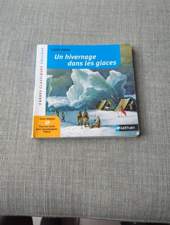 Jules Verne, Un hivernage dans les glaces
