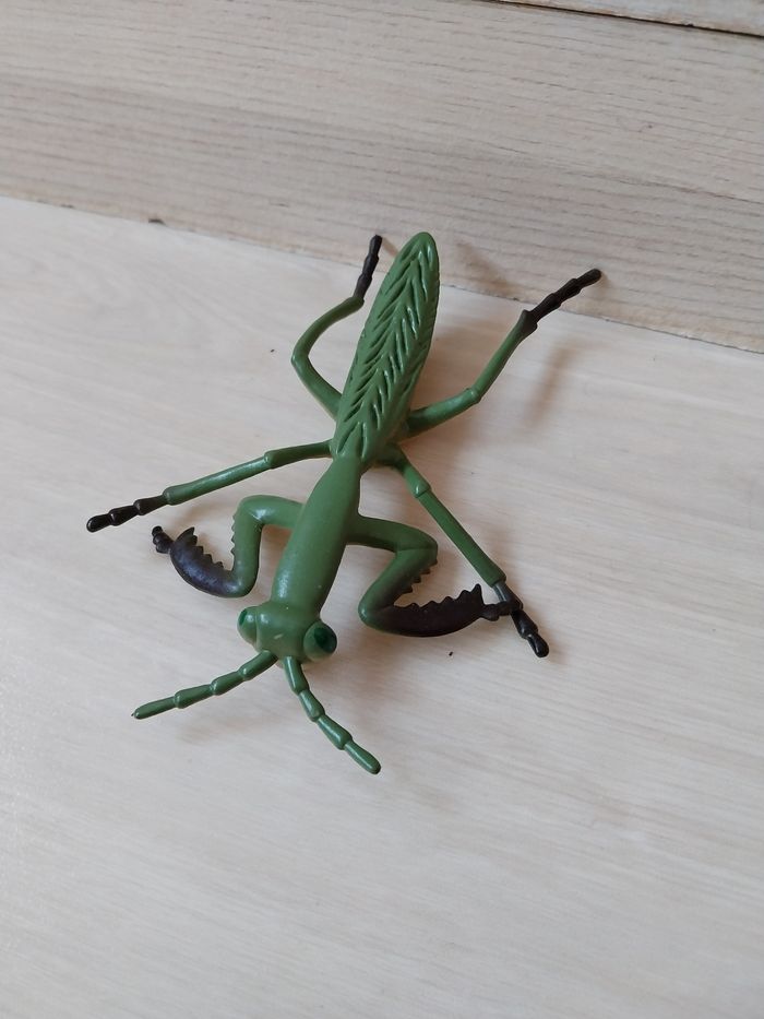 Lot insecte - photo numéro 9