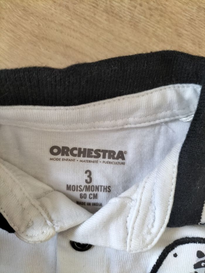 Polo orchestra - photo numéro 2