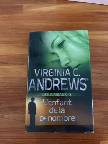 Livre l’enfant de la pénombre