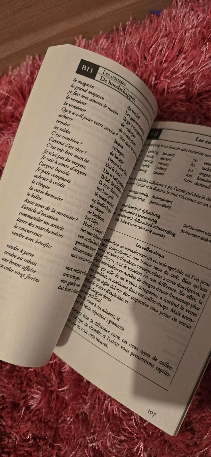 Aprendre le néerlandais - photo numéro 3