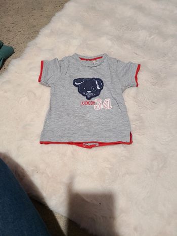 Tee shirt chien 🐕