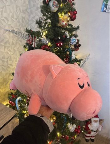 Peluche tirelire Bayonne