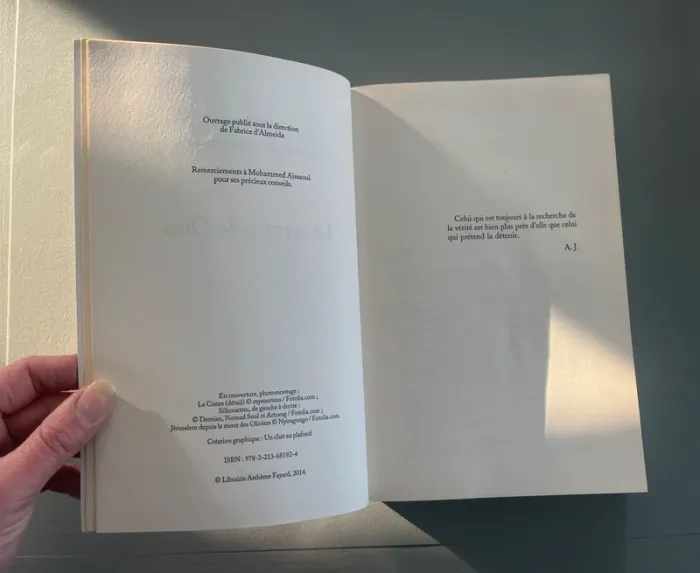 Livre type thrilleur : Le sceptre de Dieu par André Journo - photo numéro 4
